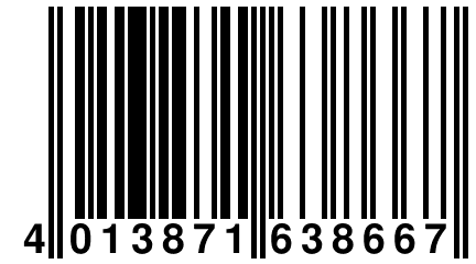 4 013871 638667