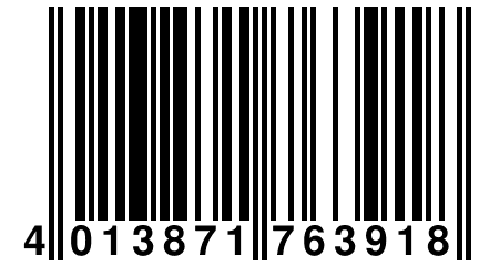 4 013871 763918