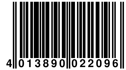 4 013890 022096