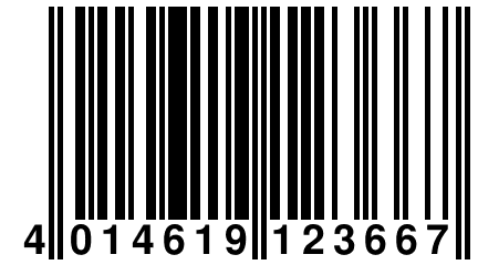 4 014619 123667