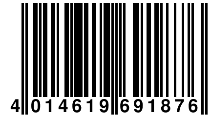 4 014619 691876