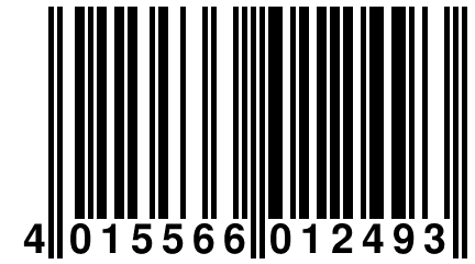 4 015566 012493