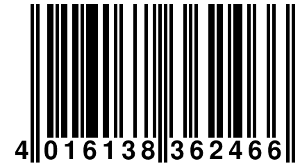 4 016138 362466