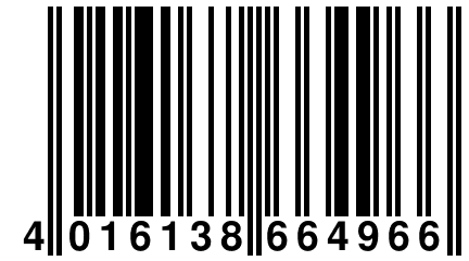 4 016138 664966