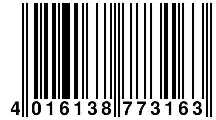 4 016138 773163