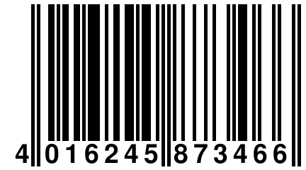 4 016245 873466
