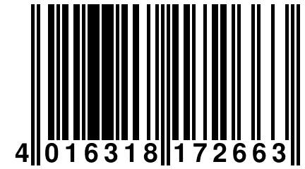 4 016318 172663