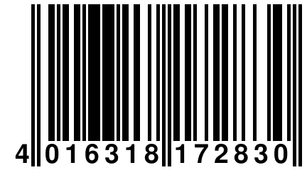 4 016318 172830