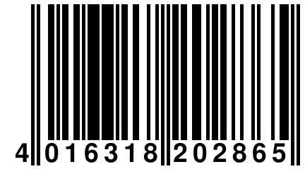 4 016318 202865