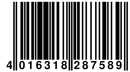 4 016318 287589