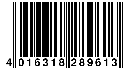 4 016318 289613