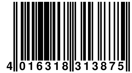 4 016318 313875