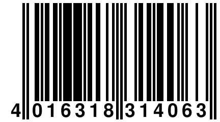 4 016318 314063