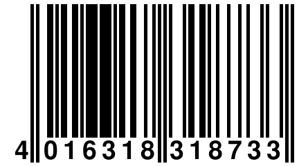 4 016318 318733