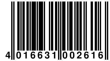 4 016631 002616