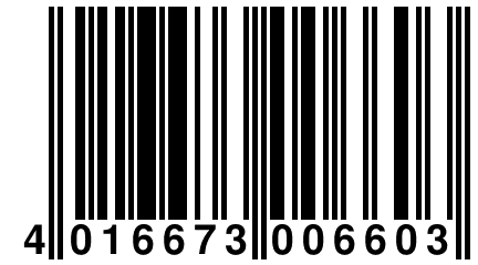 4 016673 006603