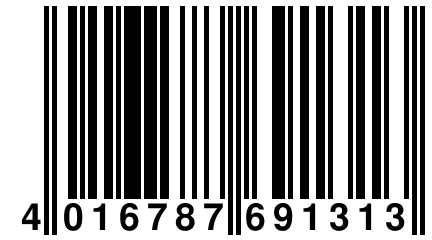 4 016787 691313