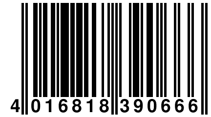 4 016818 390666