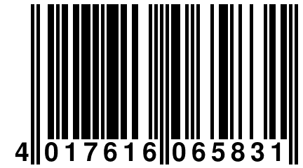 4 017616 065831