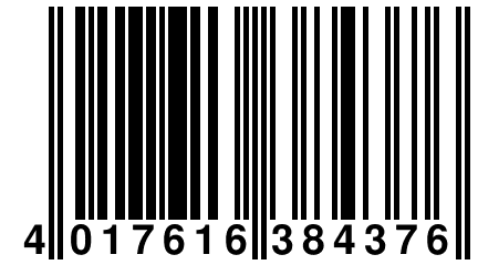 4 017616 384376