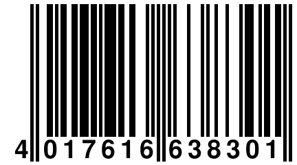 4 017616 638301