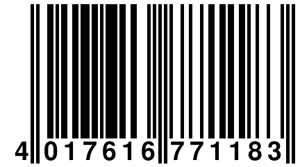 4 017616 771183