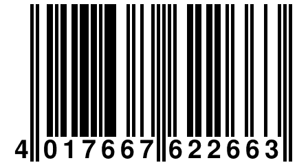 4 017667 622663