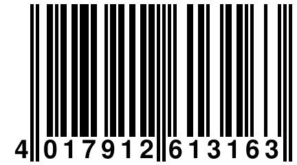 4 017912 613163
