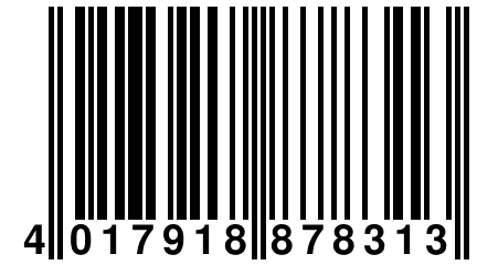 4 017918 878313