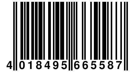 4 018495 665587