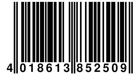 4 018613 852509