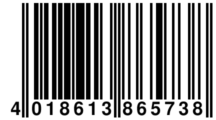 4 018613 865738