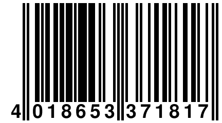 4 018653 371817