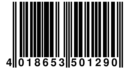 4 018653 501290