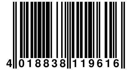 4 018838 119616