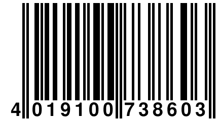 4 019100 738603