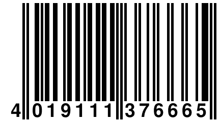 4 019111 376665