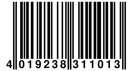 4 019238 311013