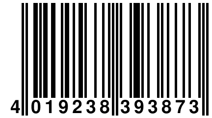 4 019238 393873