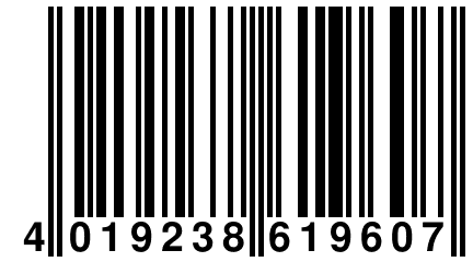 4 019238 619607