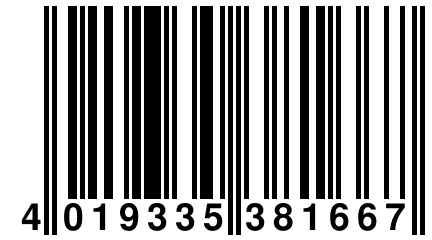 4 019335 381667