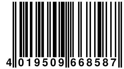 4 019509 668587