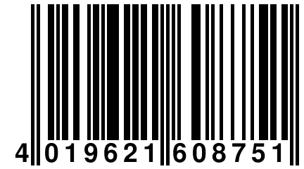 4 019621 608751