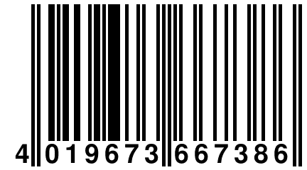 4 019673 667386