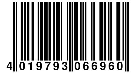 4 019793 066960