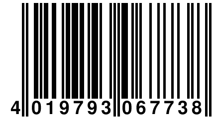 4 019793 067738