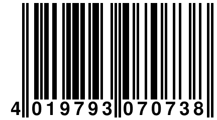 4 019793 070738