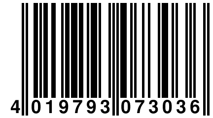 4 019793 073036