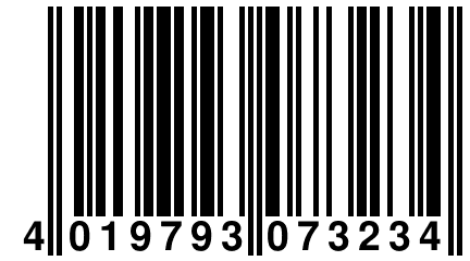 4 019793 073234