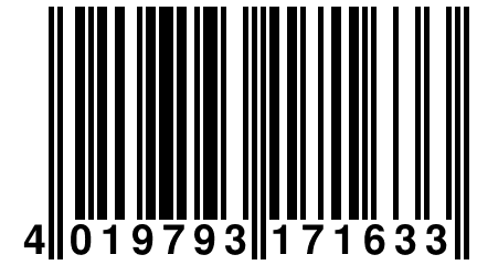 4 019793 171633